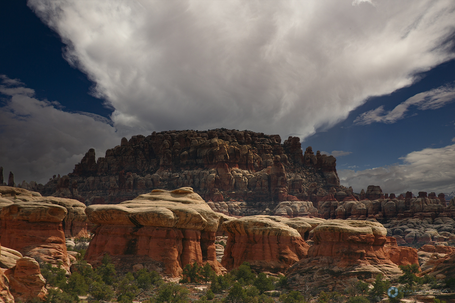 Needles District of the Canyonlands National Park, Utah, USA
