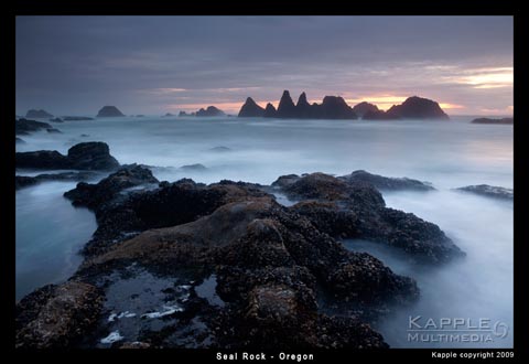 Seal Rock