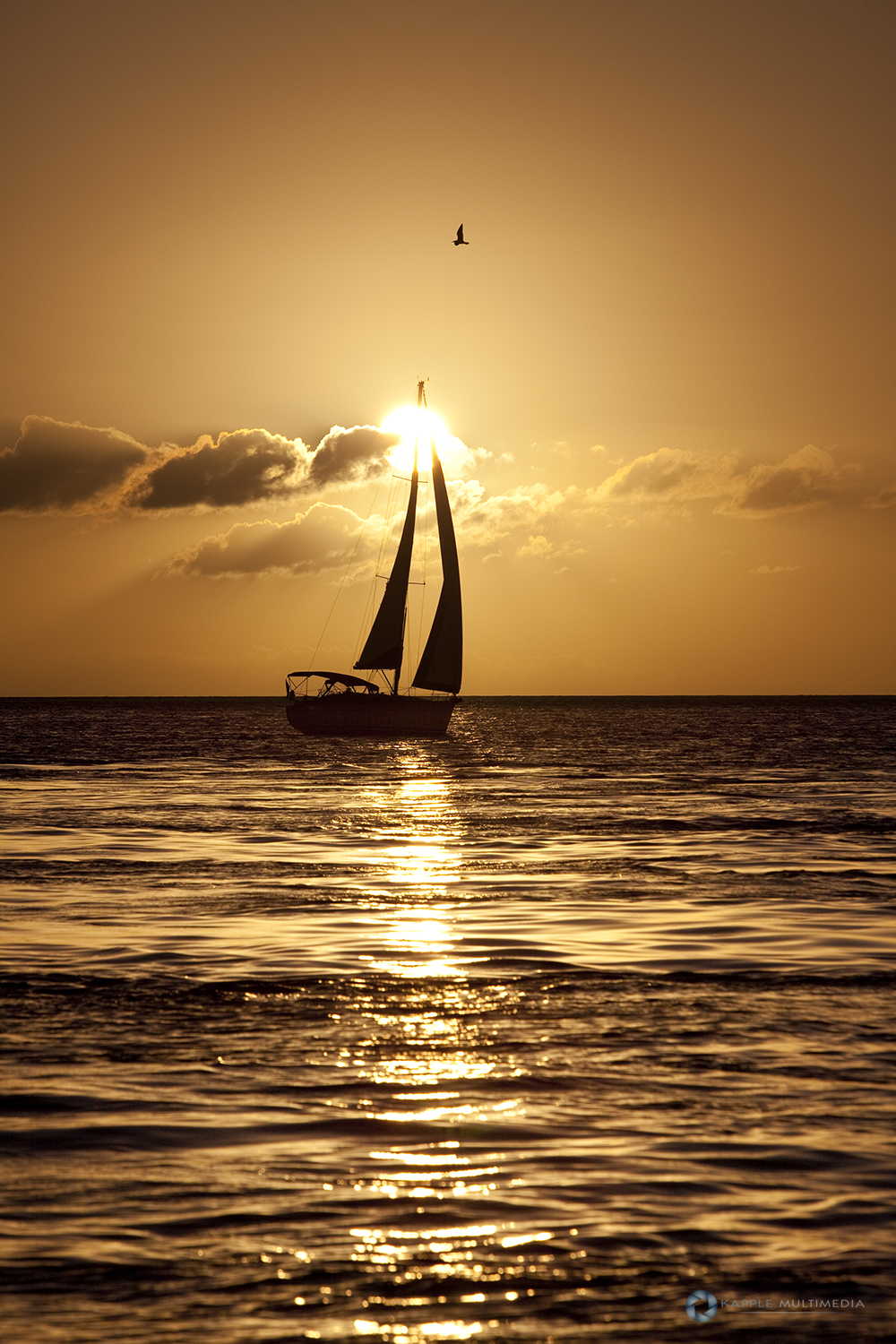 Florida Keys Florida USA