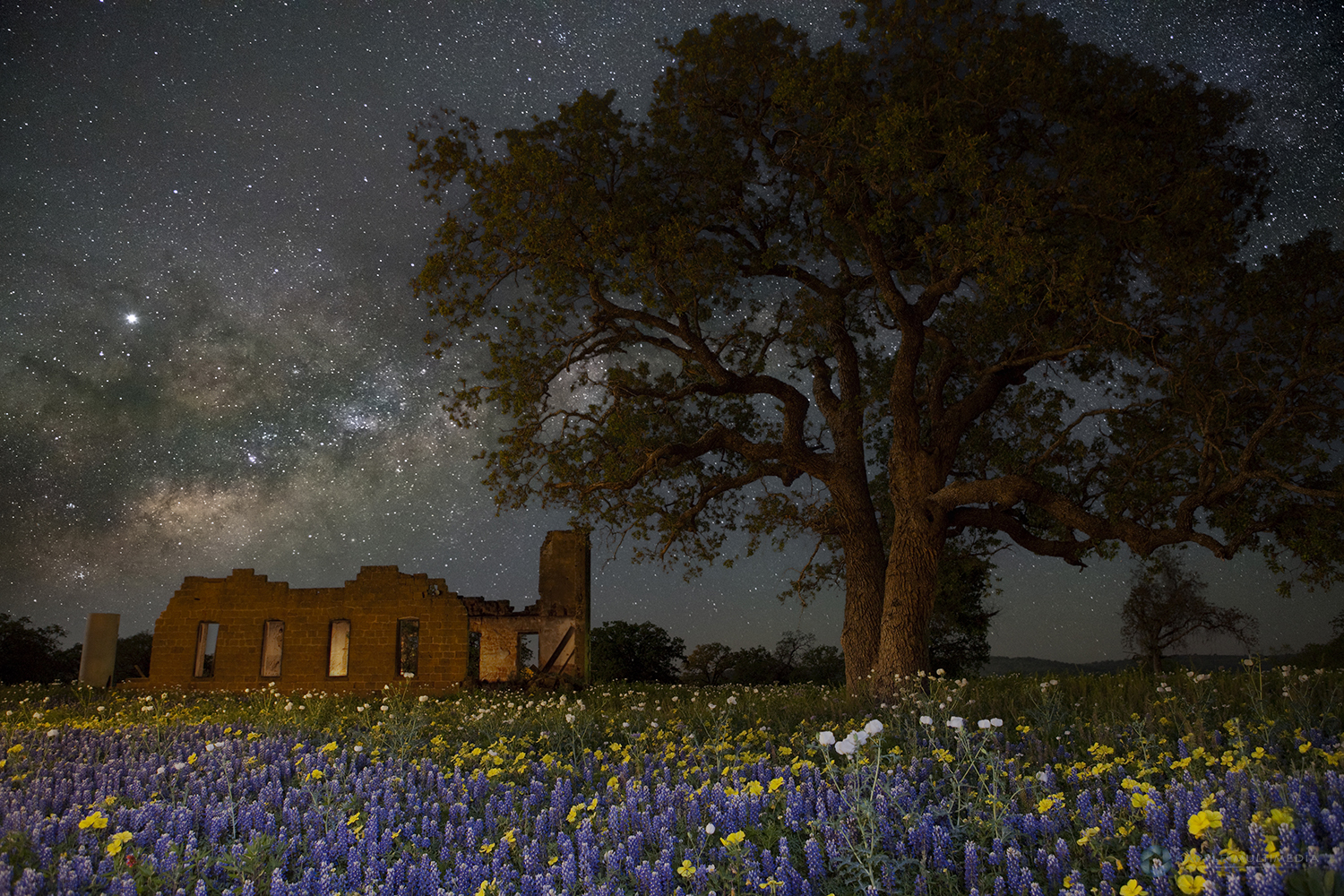 San fernando academy Pontotoc, TX