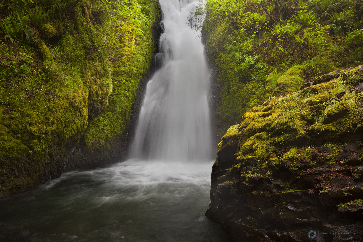 Bridal Veil Falls, Columbia River Gorge, Oregon, United States of America, North America