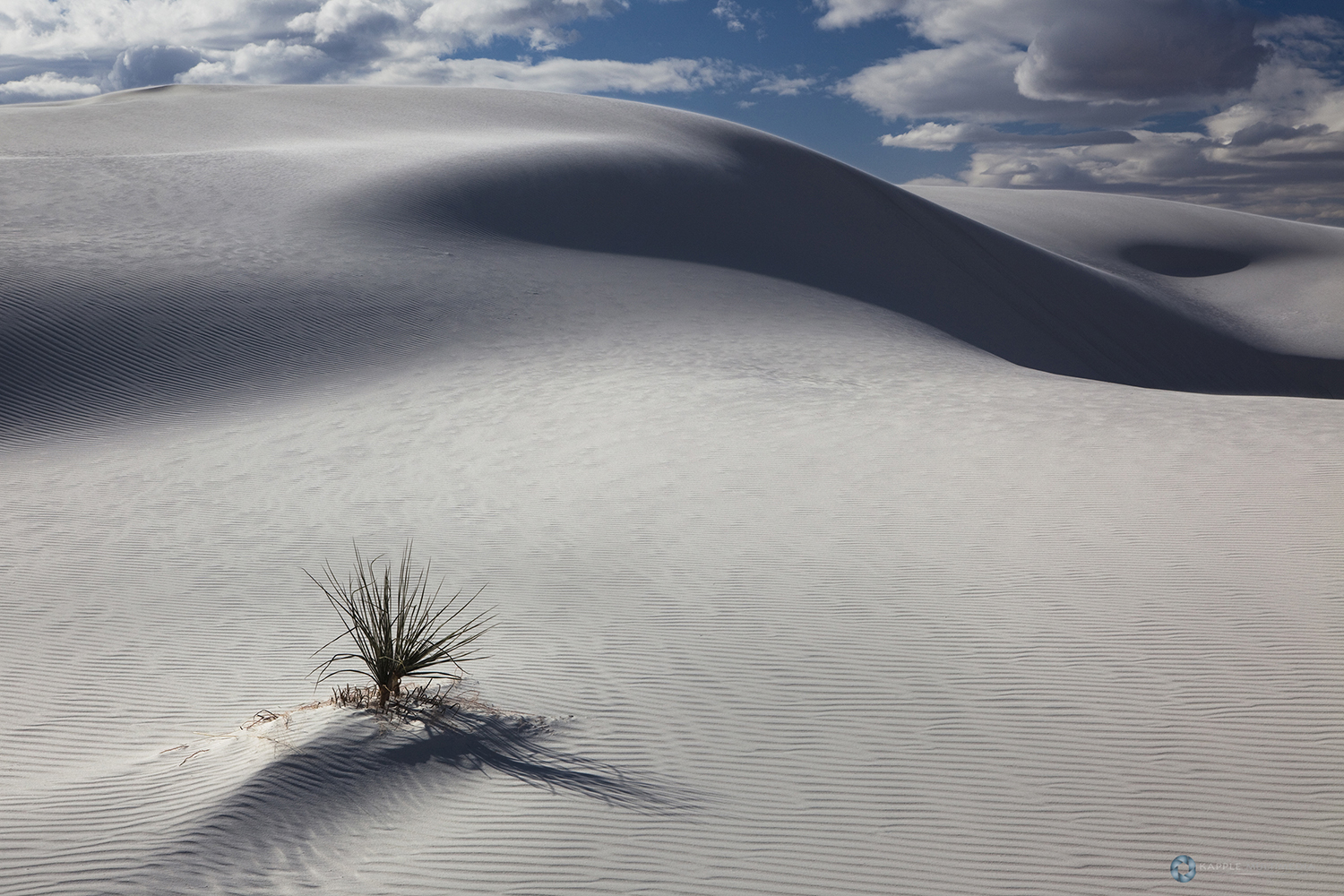 White Gypsum sand dunes in a desert with mountains, White Sands National Monument, New Mexico, USA