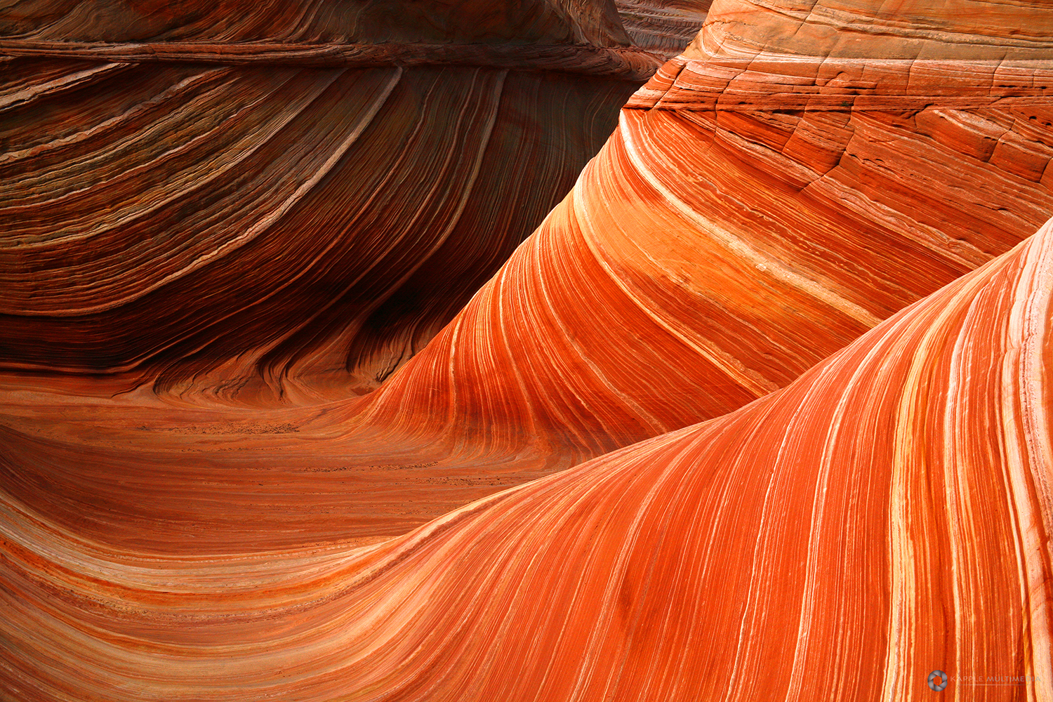 Coyote Buttes North and South