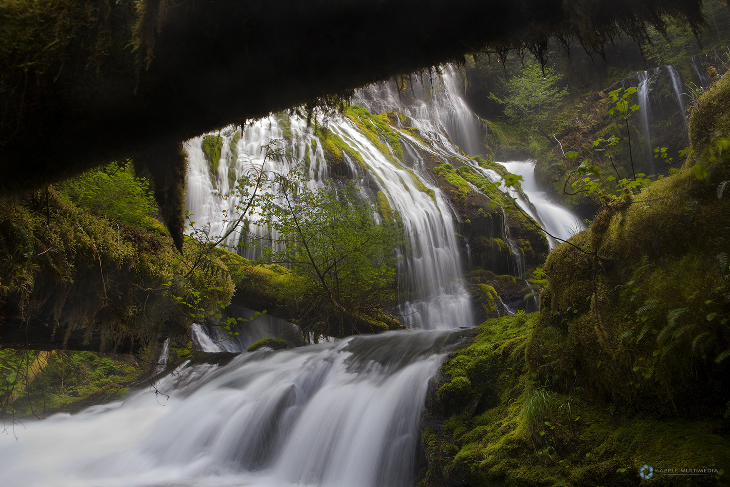 Panther Creek Falls in temperate rainforest, Gifford Pinchot National Forest, Washington