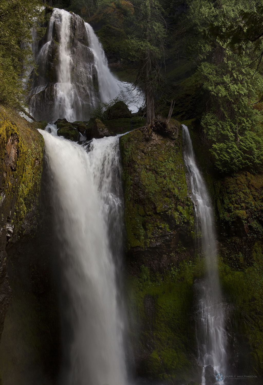 Falls Creek Falls in temperate rainforest, Gifford Pinchot National Forest, Washington, USA